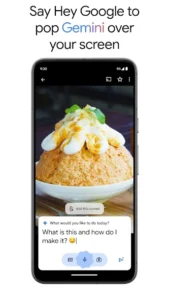 Google Gemini Apk Download 4