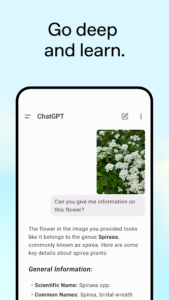ChatGPT LatesApk Download 2